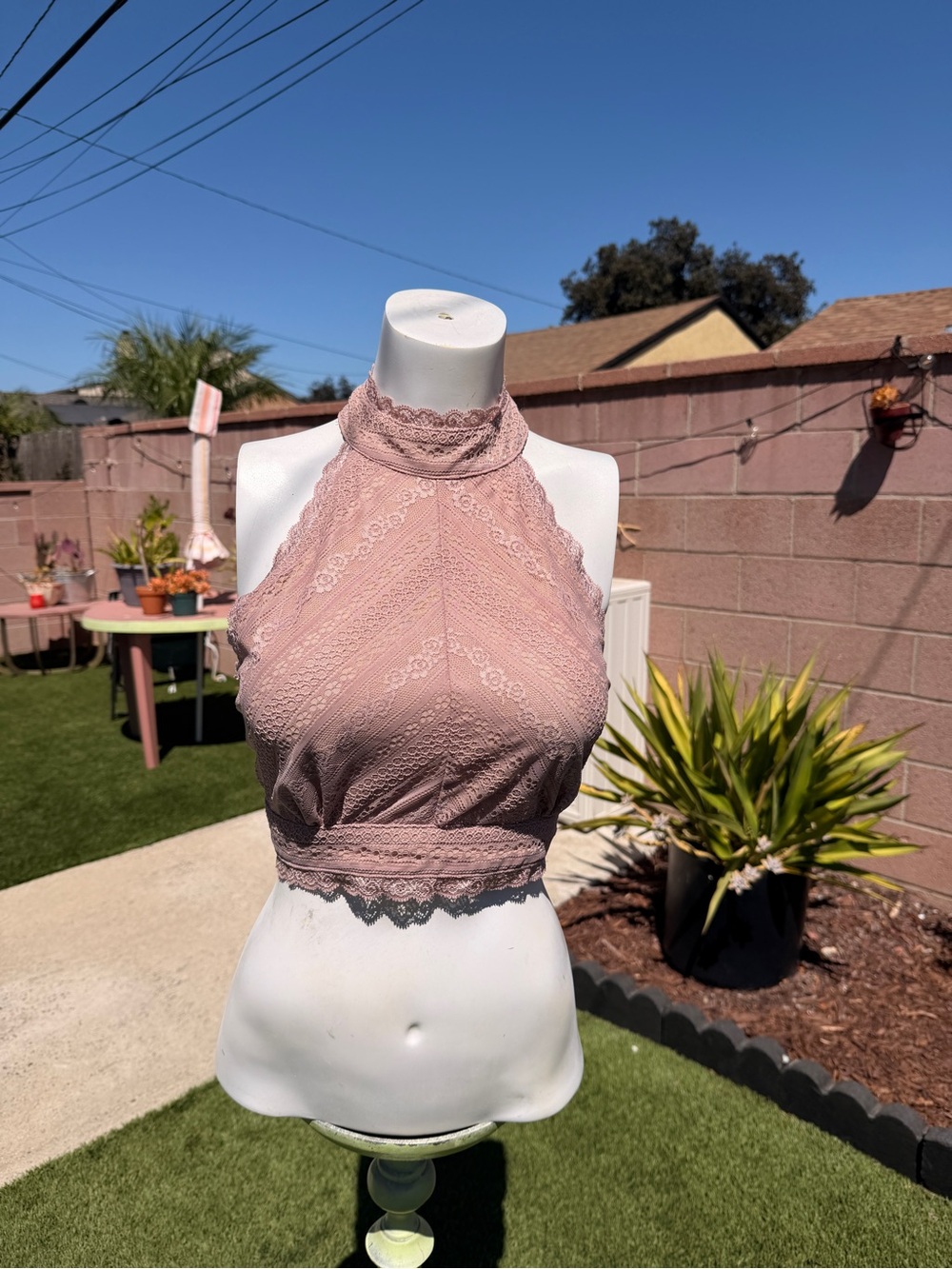 Windsor Mauve Pink Lace Halter Crop Top